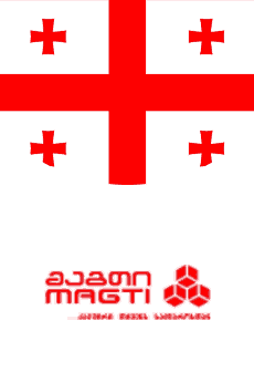 Magti GSM 流量套餐